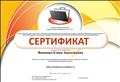 Электронное портфолио Электронное портфолио